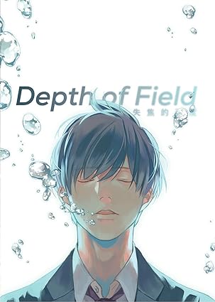 Depth of Field Vol. 1 (DEPTH OF FIELD GN) -  BigGreenBear.com Comic 11.64 USD Big Green Bear