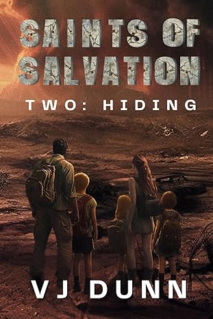 Hiding (Saints of Salvation) Paperback - BigGreenBear.com Book 13.99 USD