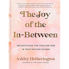 The Joy of the In-Between: 100 Devotions for Trusting God in Your Waiting Season: A Devotional: Hardcover -  BigGreenBear.com Book 13.99