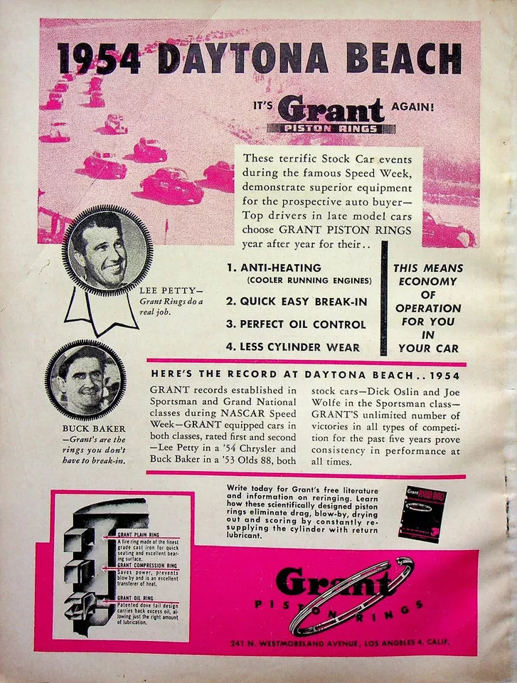 #prodAntony & Cleopatra: (Volume 19)uct_name# - Big Green Bear