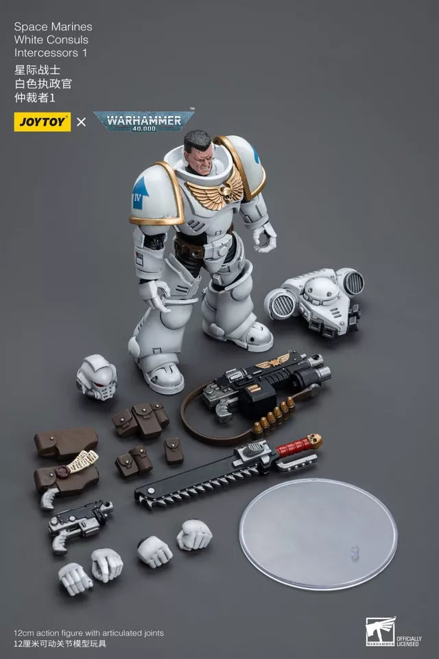 JOYTOY Warhammer 40K Space Marines White Consuls Intercessors 2 1:18