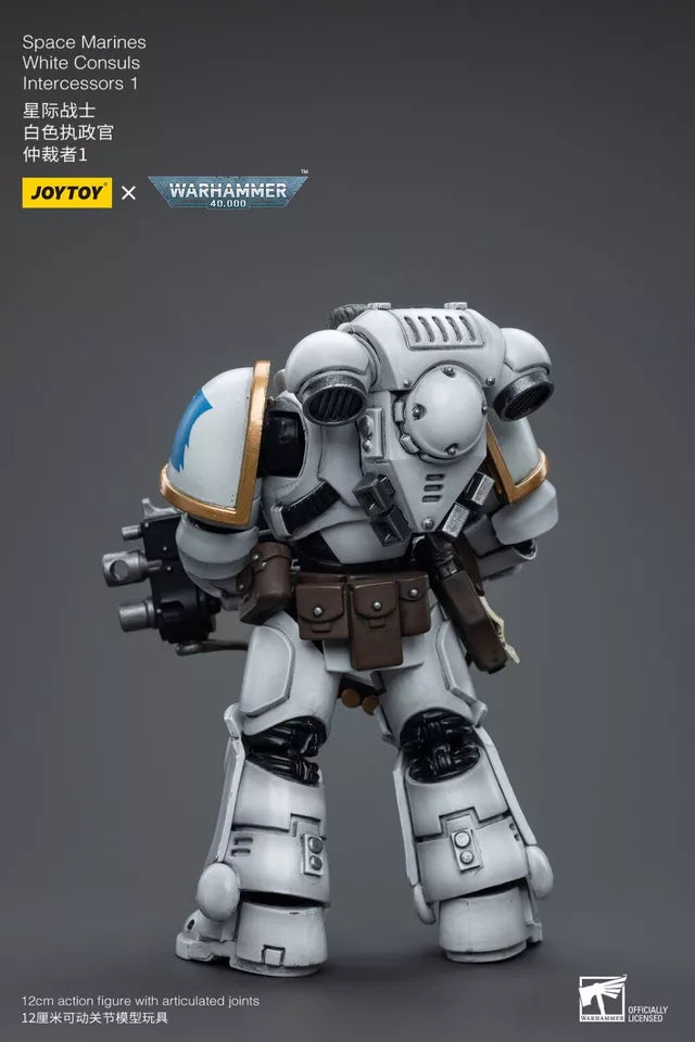 JOYTOY Warhammer 40K Space Marines White Consuls Intercessors 2 1:18