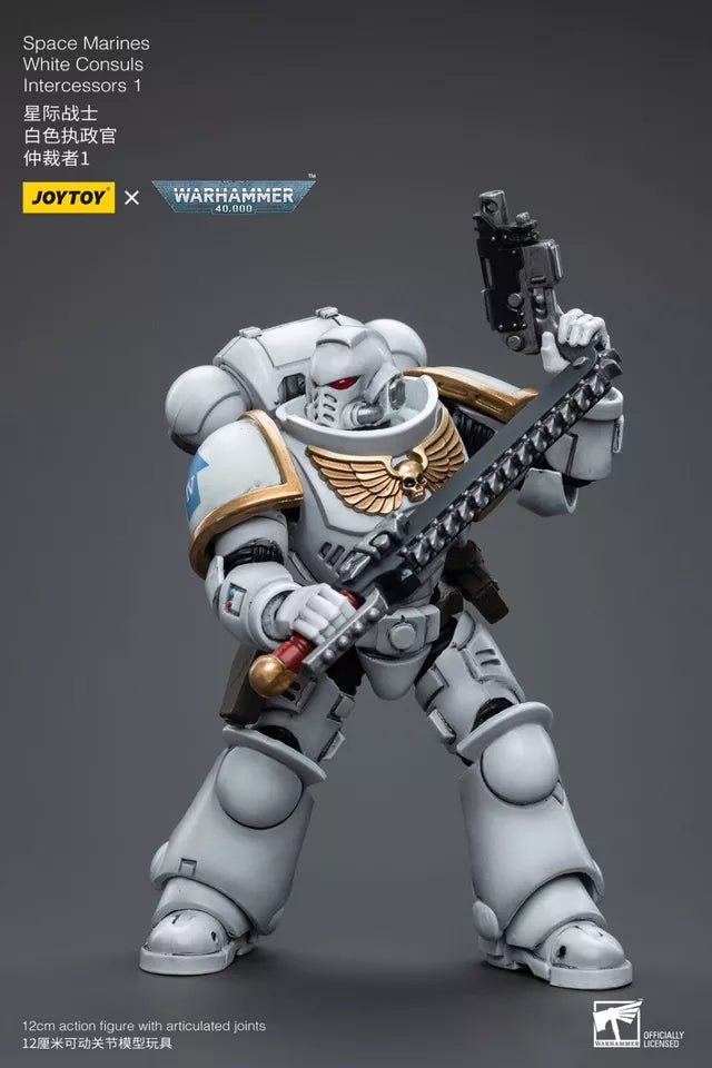 JOYTOY Warhammer 40K Space Marines White Consuls Intercessors 2 1:18