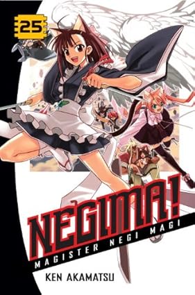 Negima! Magister Negi Magi, Vol. 25