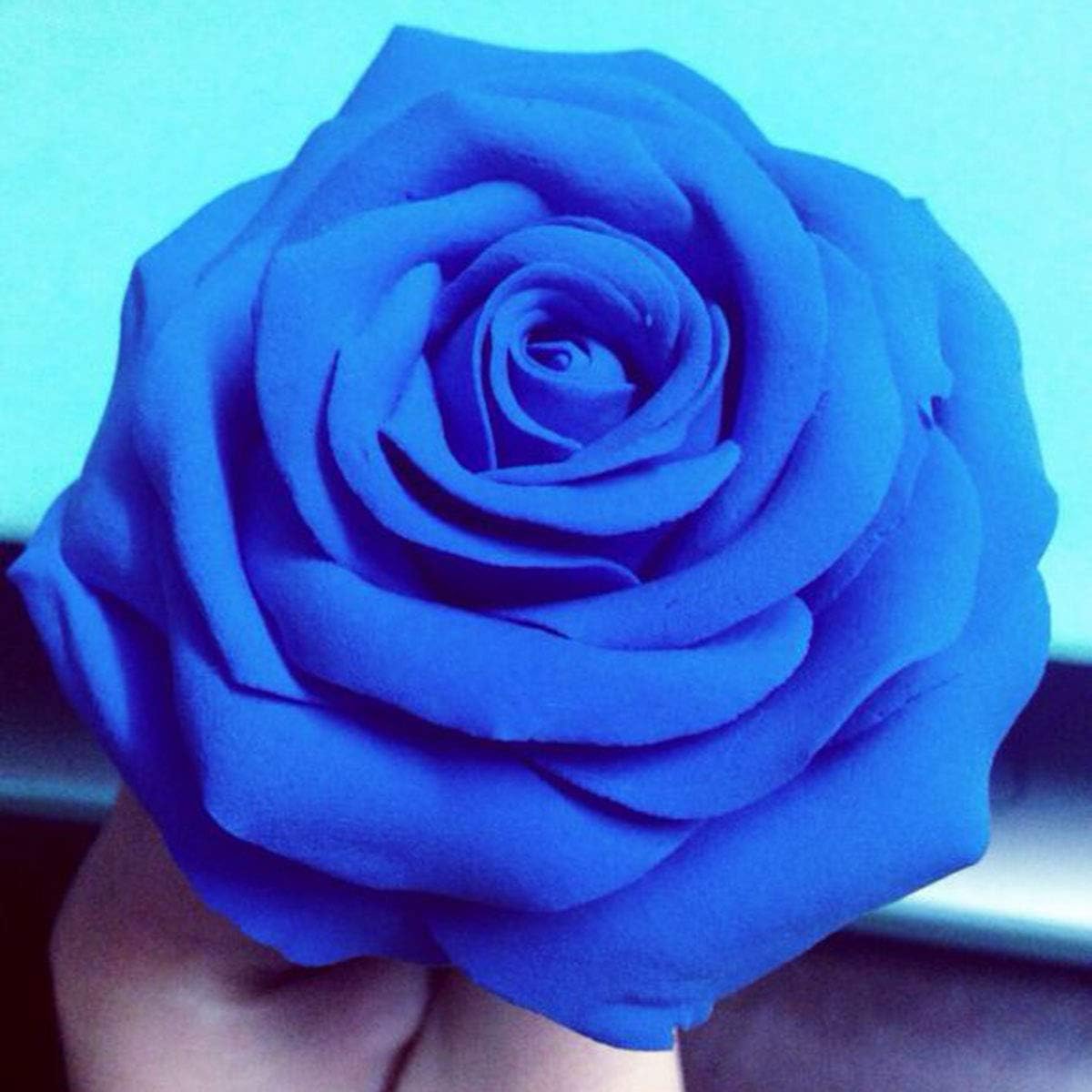 Blue Modeling Foam Clay Lite - 500 Grams- 1.1 Lbs.