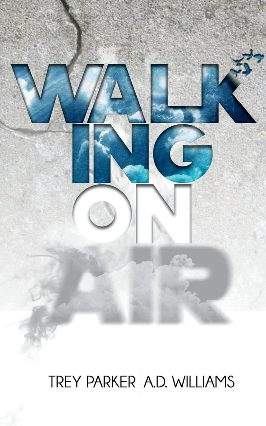 Walking On Air: Success tips for the Young,Fly and Foolish - Paperback -  BigGreenBear.com Book 9.99 USD Big Green Bear