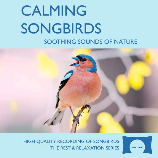 Calming Songbirds - Nature Sounds Recording of Bird Calls (CD) -  BigGreenBear.com CDs 11.95 USD Big Green Bear