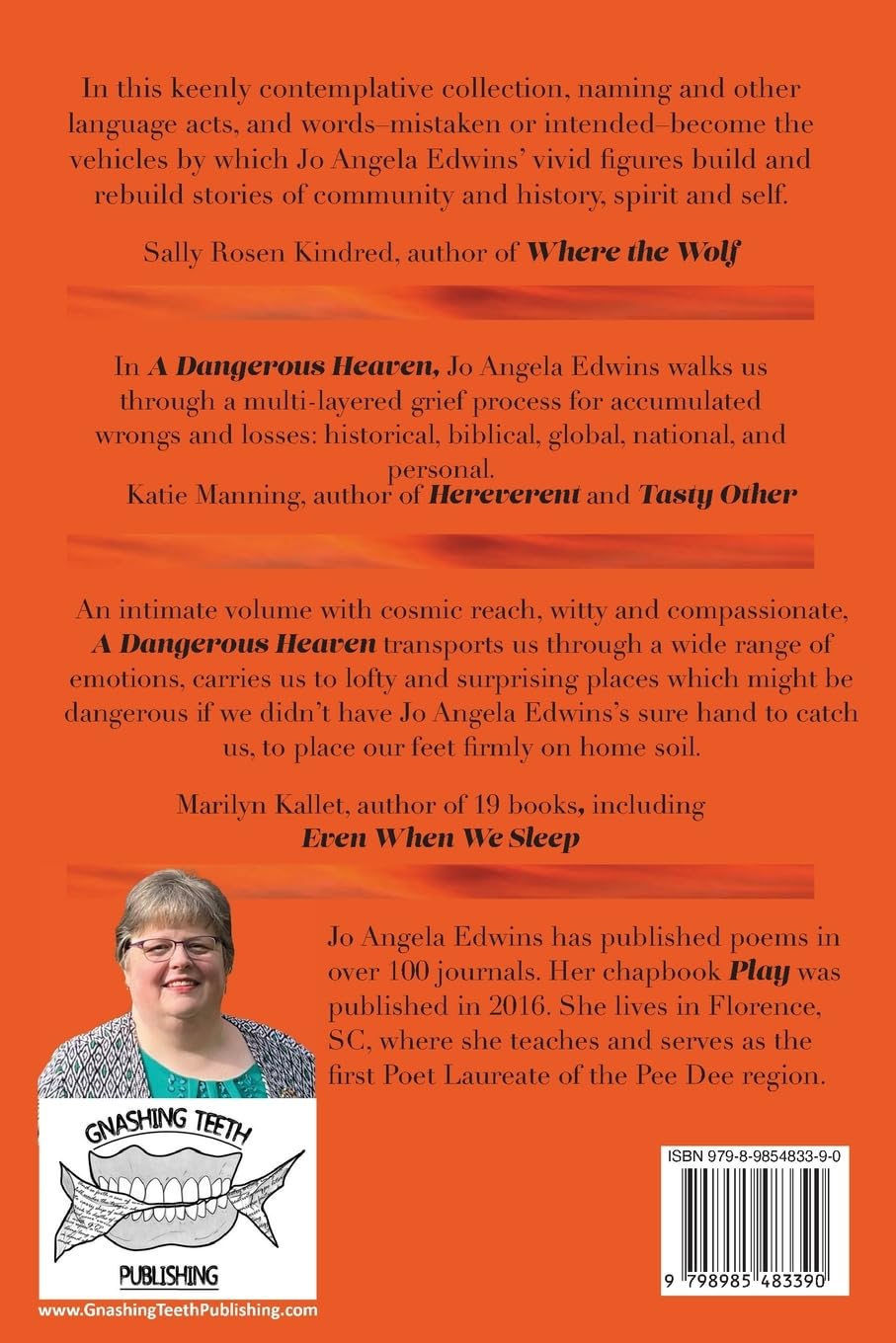 A Dangerous Heaven Paperback by Jo Angela Edwins -  BigGreenBear.com Book 5.95 USD Big Green Bear