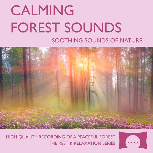 Calming Forest Sounds - Soothing Nature Ambience for Stress Relief (CD) -  BigGreenBear.com CDs 11.95 USD Big Green Bear
