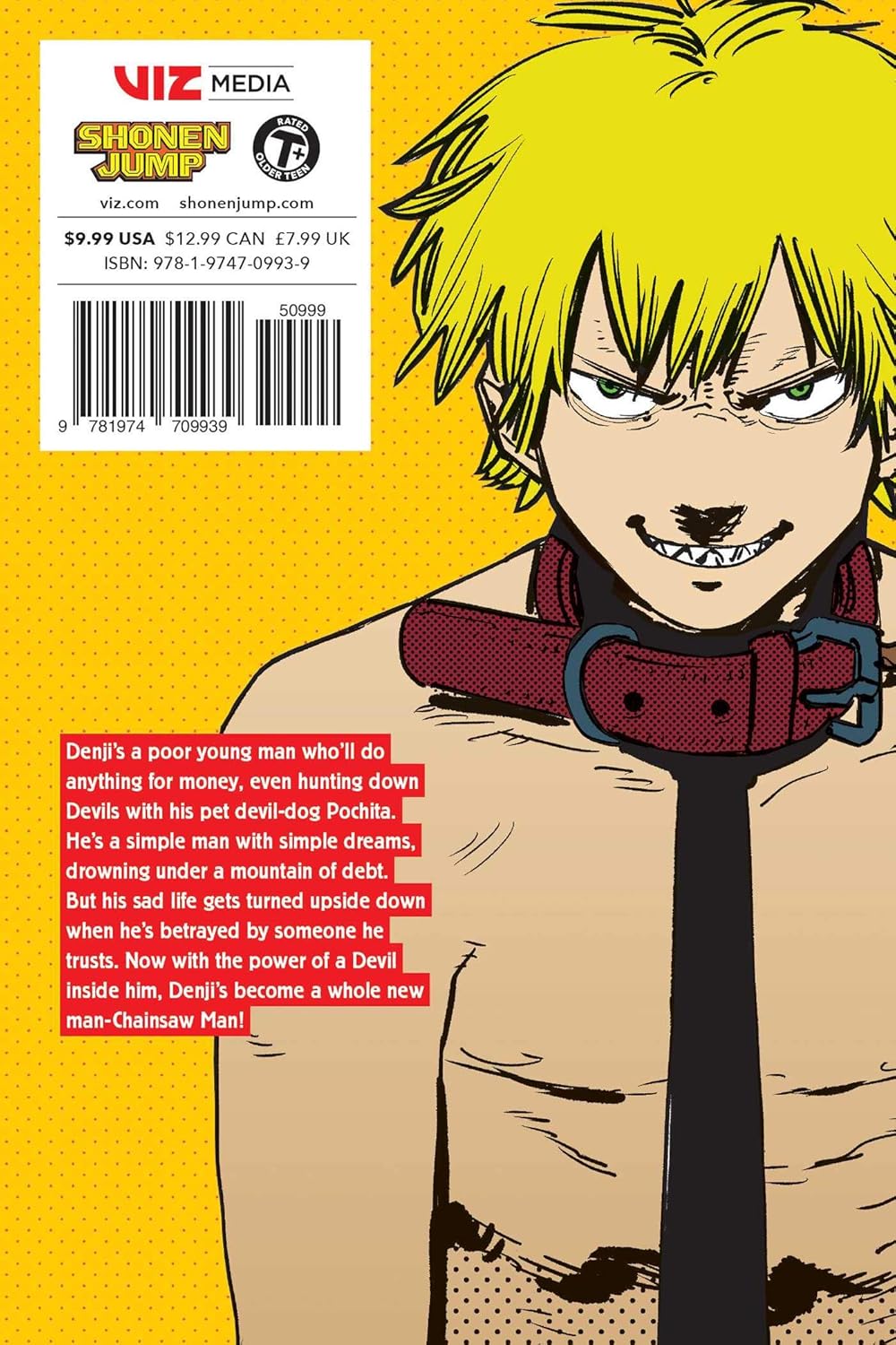 Chainsaw Man, Vol. 1 Paperback – October 6, 2020 -  BigGreenBear.com Comic 8.99 USD Big Green Bear