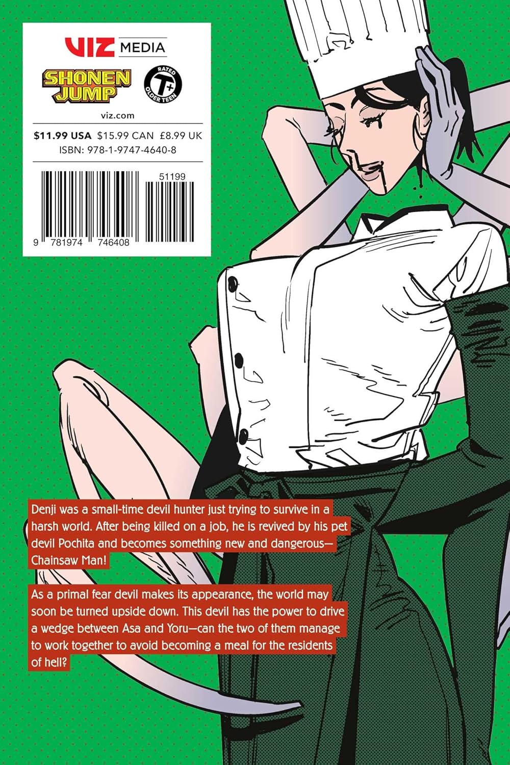 Chainsaw Man, Vol. 15 Paperback – May 7, 2024 MAnga Comic Book Biggreenbear.com Big Green Bear