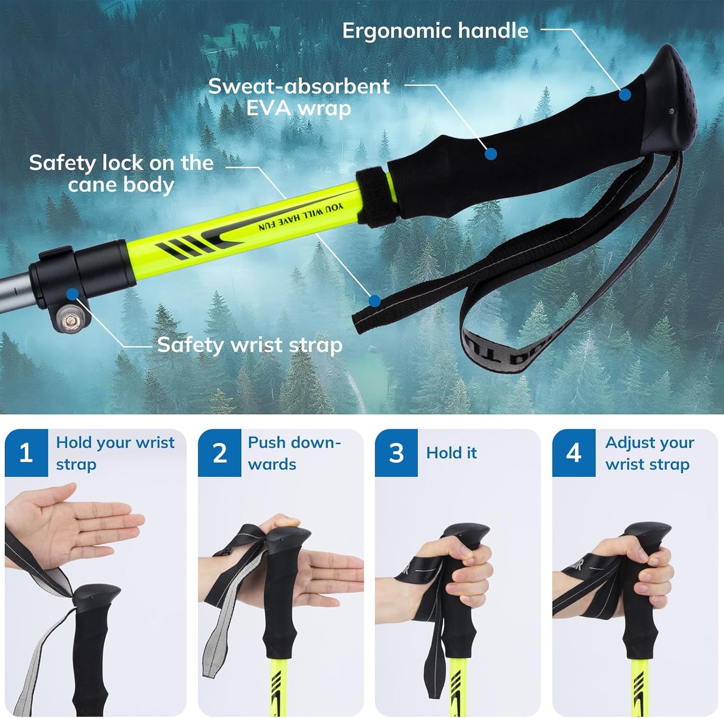 Hiking stick with features labeled against a forest background