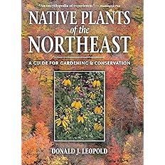 Native Plants of the Northeast: A Guide for Gardening and Conservation