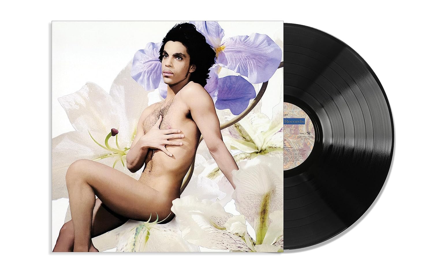#prodAntony & Cleopatra: (Volume 19)uct_name# - Big Green Bear