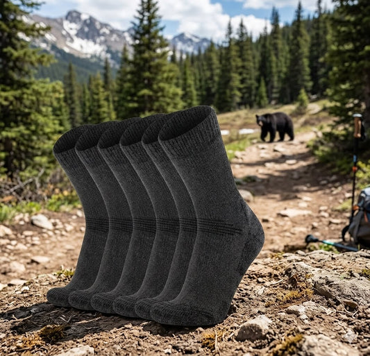Five pairs of dark gray hiking socks arranged in a fan shape on a rocky trail, with a forest and mountains in the background and a bear visible at a distance. big green bear