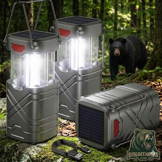 Solar lanterns with a bear in the background in a forest setting, featuring the Big Green Bear brand.