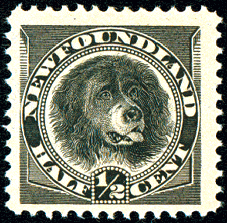 Newfoundland #58 Dog - 1894 Unused Issue Biggreenbear.com Big green bear